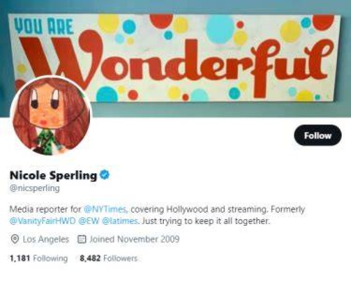 
Nicole Sperling Bio And Family Status- How Old Is The Reporter From NY Times? 