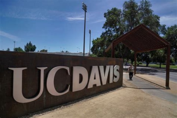 
Who Is UC Davis Water Polo Coach Daniel Noble And Why Is He Arrested? 